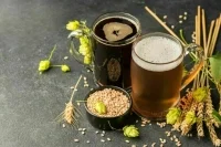 Свой ячмень для пива: какие заграничные семена предстоит заместить