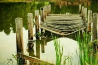 В Орске подтопило более 2,4 тыс. жилых домов