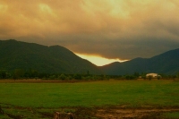 Пульмонолог рассказала, в какие регионы можно переехать на время цветения