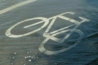 В Курганской области из-за паводка ввели режим чрезвычайной ситуации