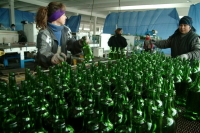 В Госдуме считают, что упрощение лицензирования в алкогольной сфере несет риски