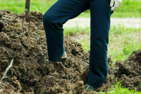 За неправильное обращение с навозом накажут рублем