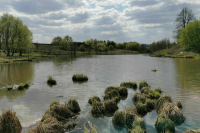 Вильфанд: В Подмосковье половодье пошло на спад