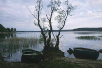 Гидрологи спрогнозировали выход из берегов озера Селигер