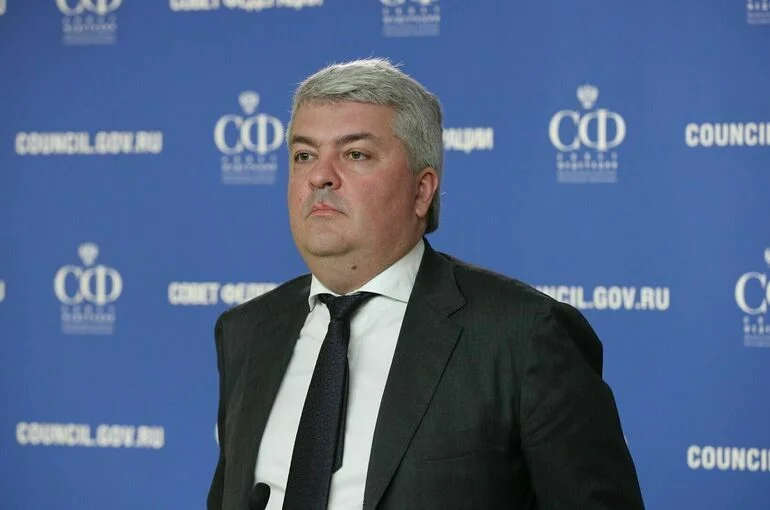 Директор Института развития интернета призвал не судить сейчас об игре «Смута»