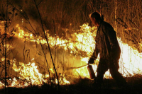 В Рослесхозе назвали регионы с высокой вероятностью лесных пожаров