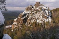 Бродячих животных в Красноярском крае будут отлавливать, но до их эвтаназии дело не дойдет