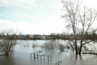 Уровень воды в реке Тобол у Кургана превысил восемь метров