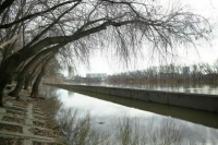 Уровень воды в реке Тобол достиг 830 сантиметров