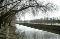 Уровень воды в реке Тобол достиг 830 сантиметров