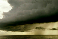 Из-за ливней в ОАЭ вылета ждут около 2,5 тысячи россиян