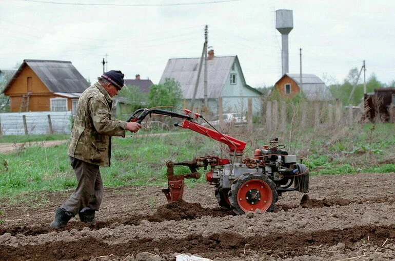 Аграриям предложили активнее использовать страхование для защиты АПК от стихии