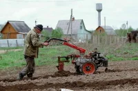 Аграриям предложили активнее использовать страхование для защиты АПК от стихии