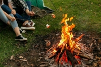 Не жги, не рви, не стреляй: что нельзя делать в лесу