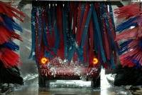 Россельхознадзор отмоет транспорт от возбудителей чумы и ящура