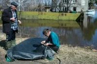 Тюменский губернатор сообщил, что рост уровня воды в Ишиме замедлился