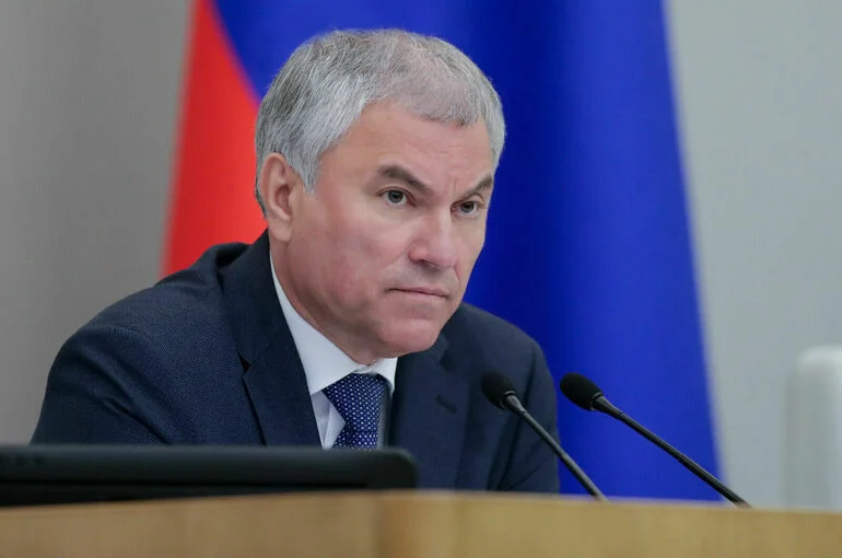 Володин предложил отстранять от должности за несвоевременное выполнение законов