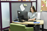 Попасть на целевое обучение поможет «Работа в России»