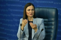 Депутат Буцкая намерена попросить кабмин уточнить критерии проверок каруселей