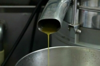 Минпромторг предложил провести эксперимент по маркировке моторных масел