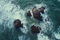 К поискам пропавших в Крыму военнослужащих подключился Черноморский флот