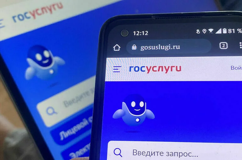 Законопроект о выборе исполнителей по соцзаказу на «Госуслугах» прошел I чтение