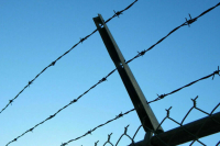 Польша начала фортификационные работы на границе с Белоруссией