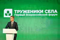 Сенаторы предложили ввести дополнительные выплаты земским докторам