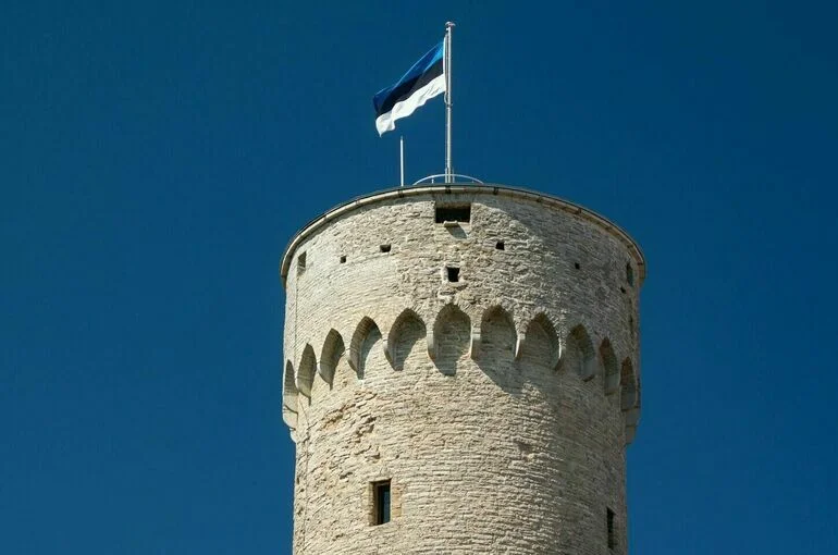 Власти Эстонии обсуждают отправку войск на запад Украины