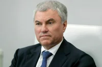 Володин: Министрам необходимо контролировать реализацию ряда программ в регионах