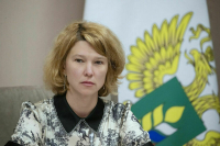 В России от заморозков погибли посевы на площади более 800 тысяч гектаров