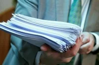 Законопроект о создании климатических проектов в лесах прошел первое чтение