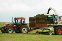 Производства ветпрепаратов и кормовых добавок могут получить господдержку
