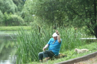 Действие текущих договоров на рыболовные участки продлят 