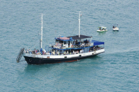 Для трудоустройства российских моряков за границей не потребуется лицензия