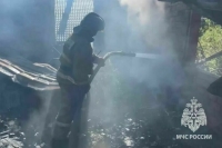 После пожара в СНТ в Истре возбудили дело об организации незаконной миграции