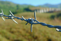 На границе Ростовской области и ДНР и ЛНР создали аналог пограничной зоны