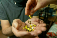 Полиция в 2023 году выявила более 180 тысяч наркопреступлений