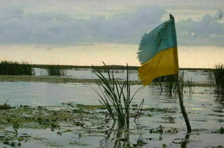 Эксперт Евросовета считает, что США и Германия не верят в победу Украины