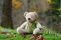 Международный день пропавших детей отмечается 25 мая