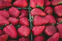 В Минсельхозе ожидают снижения цен на клубнику в июне