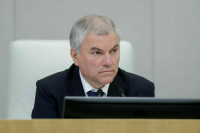 Володин поручил ускорить работу над запретом продажи энергетиков детям