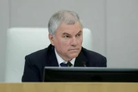 Володин поручил ускорить работу над запретом продажи энергетиков детям
