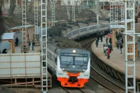 Из электричек запретят высаживать животных без хозяев