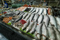 В Совфеде предложили субсидировать перевозки лосося, сельди и консервов
