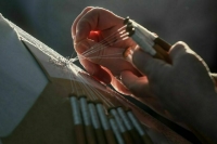 Деловых женщин стран БРИКС соединят телемостами