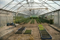 В кабмине призвали развивать селекцию, генетику и сельхозмашиностроение