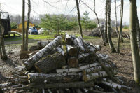 ФАС предложили стимул для отказа от печного отопления 