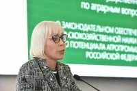 Депутат Школкина возмутилась «маркированной» китайской одеждой на маркетплейсах