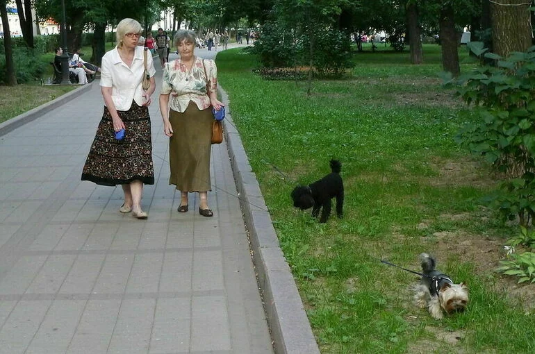 В Минприроды рассказали, что учет животных будет добровольным